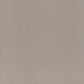 Loop Birdbath Beige/Tan Carpet
