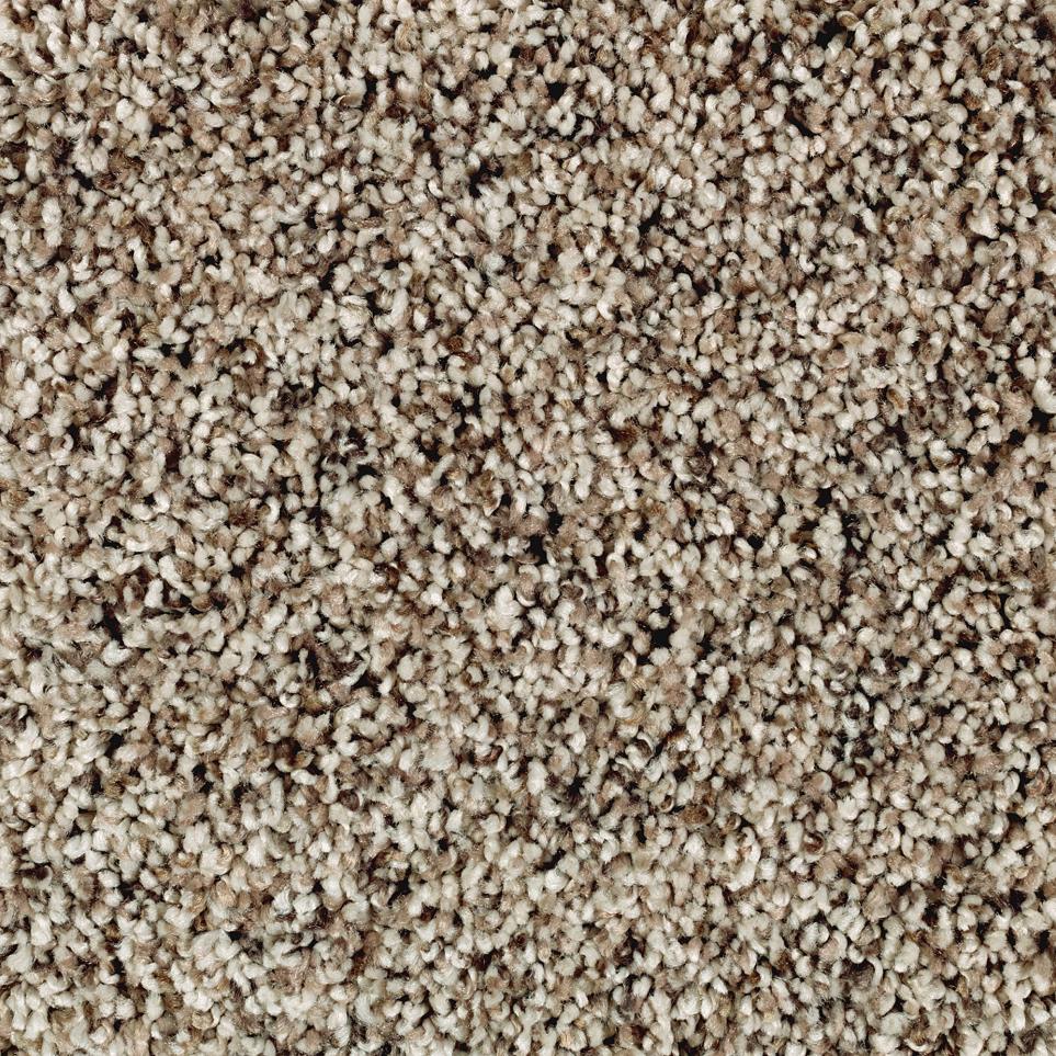 Texture Halo Beige/Tan Carpet