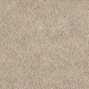 Pattern Natural Finish Beige/Tan Carpet