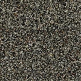 Textured Saxony Dynasty Gray Carpet