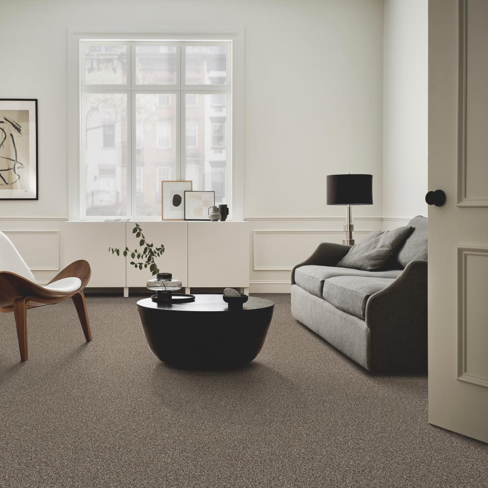 Casual Texture Rodeo Brown Carpet