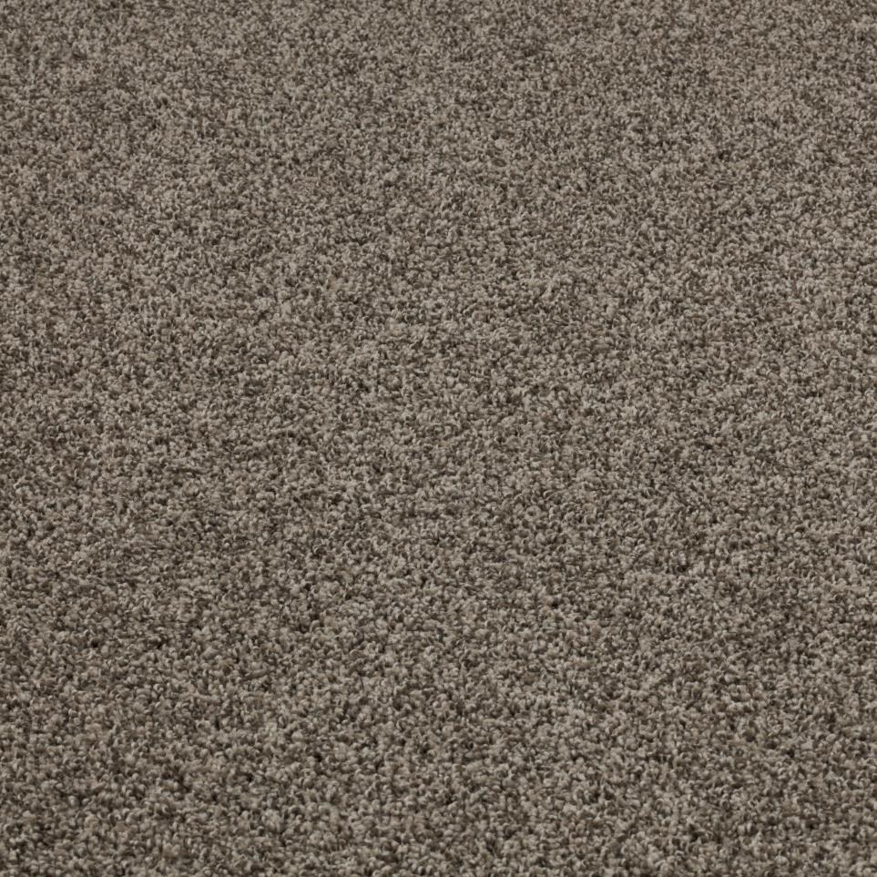 Casual Texture Rodeo Brown Carpet