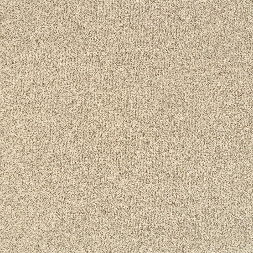 Textured Saxony Alliance Beige/Tan Carpet