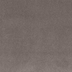 Textured Saxony Rich Earth Beige/Tan Carpet