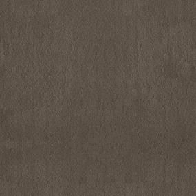 Textured Saxony Adventurer Brown Carpet