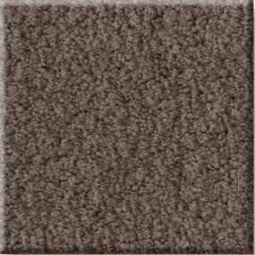 Plush Adventurer Brown Carpet