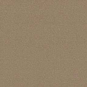 Texture Weathered Wood Beige/Tan Carpet