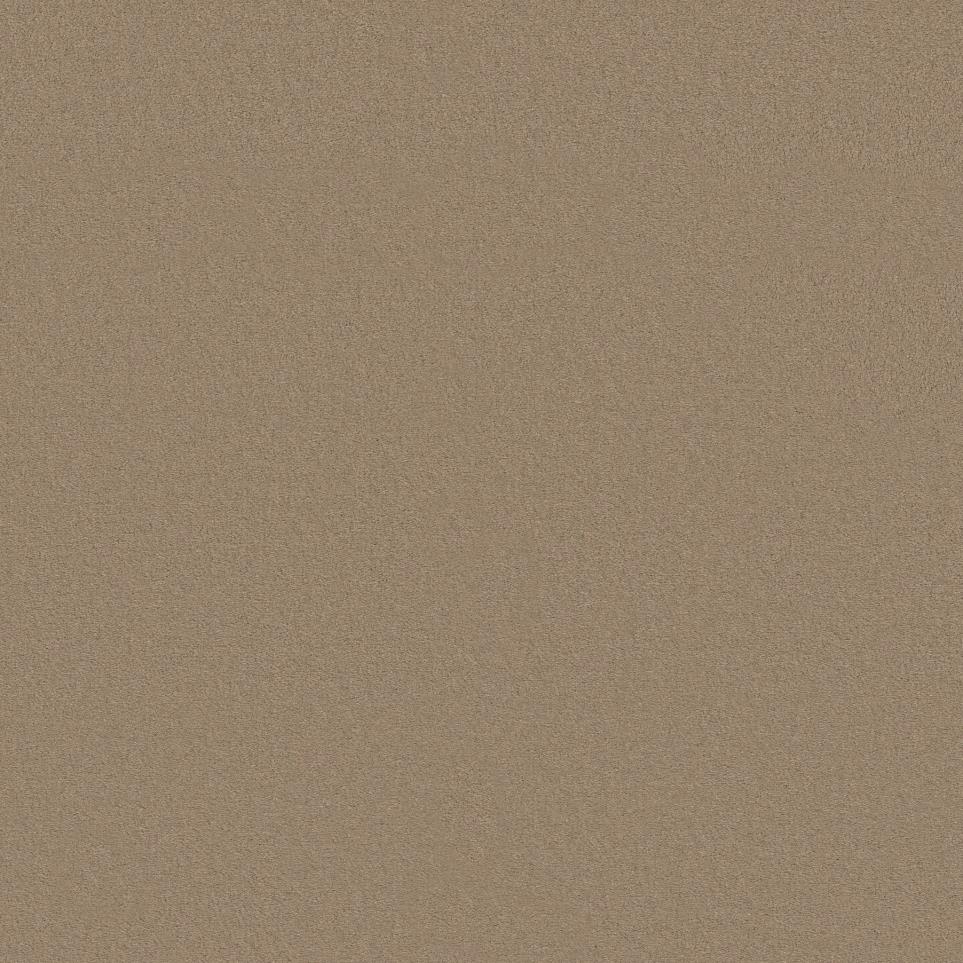 Texture Weathered Wood Beige/Tan Carpet