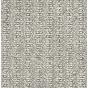 Berber Minerals Gray Carpet