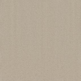Pattern Butternut Beige/Tan Carpet