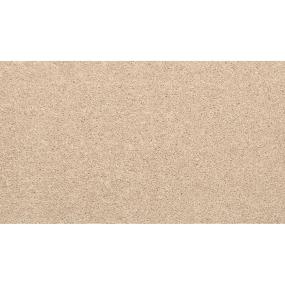 Textured Saxony Cookie Butter Beige/Tan Carpet