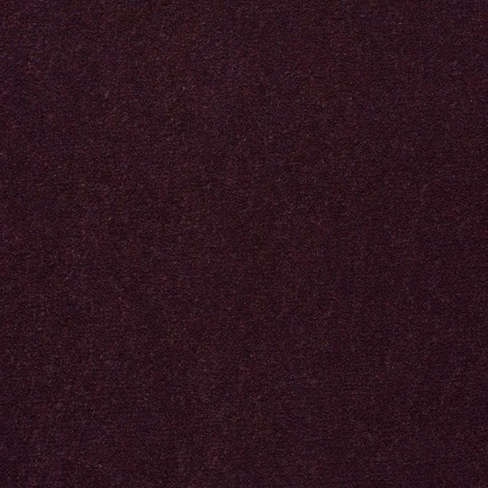 Cut Pile Orchid Purple Carpet