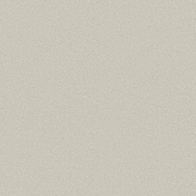 Texture MINIMALIST Gray Carpet