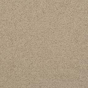 Casual Texture Stoneworks Brown Carpet