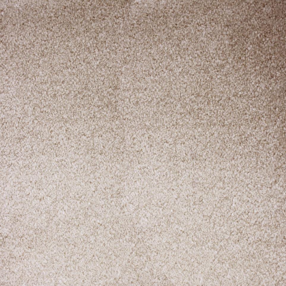Plush Beige  Carpet