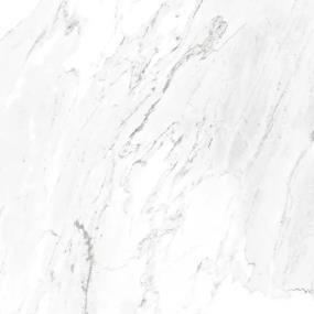 Carrara White  Tile
