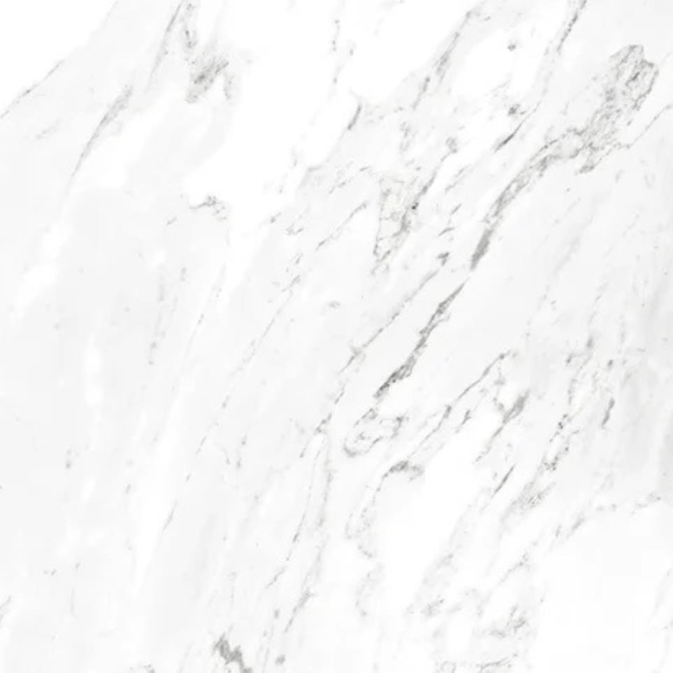 Tile Carrara White White Tile