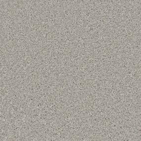 Textured Saxony Stability Gray Carpet