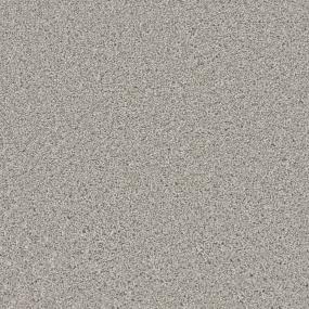 Texture Stability Gray Carpet