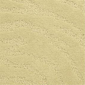 Pattern Signal Hill Beige/Tan Carpet