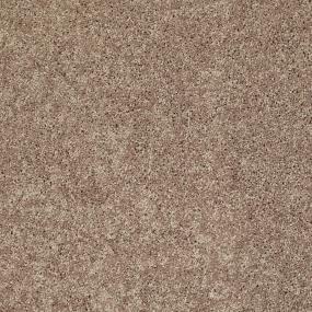 Textured Saxony Black Diamond Beige/Tan Carpet