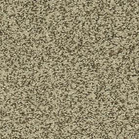 Textured Saxony Pashmina Beige/Tan Carpet