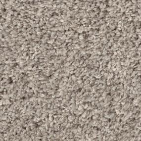 Casual Texture Buff Gray Carpet