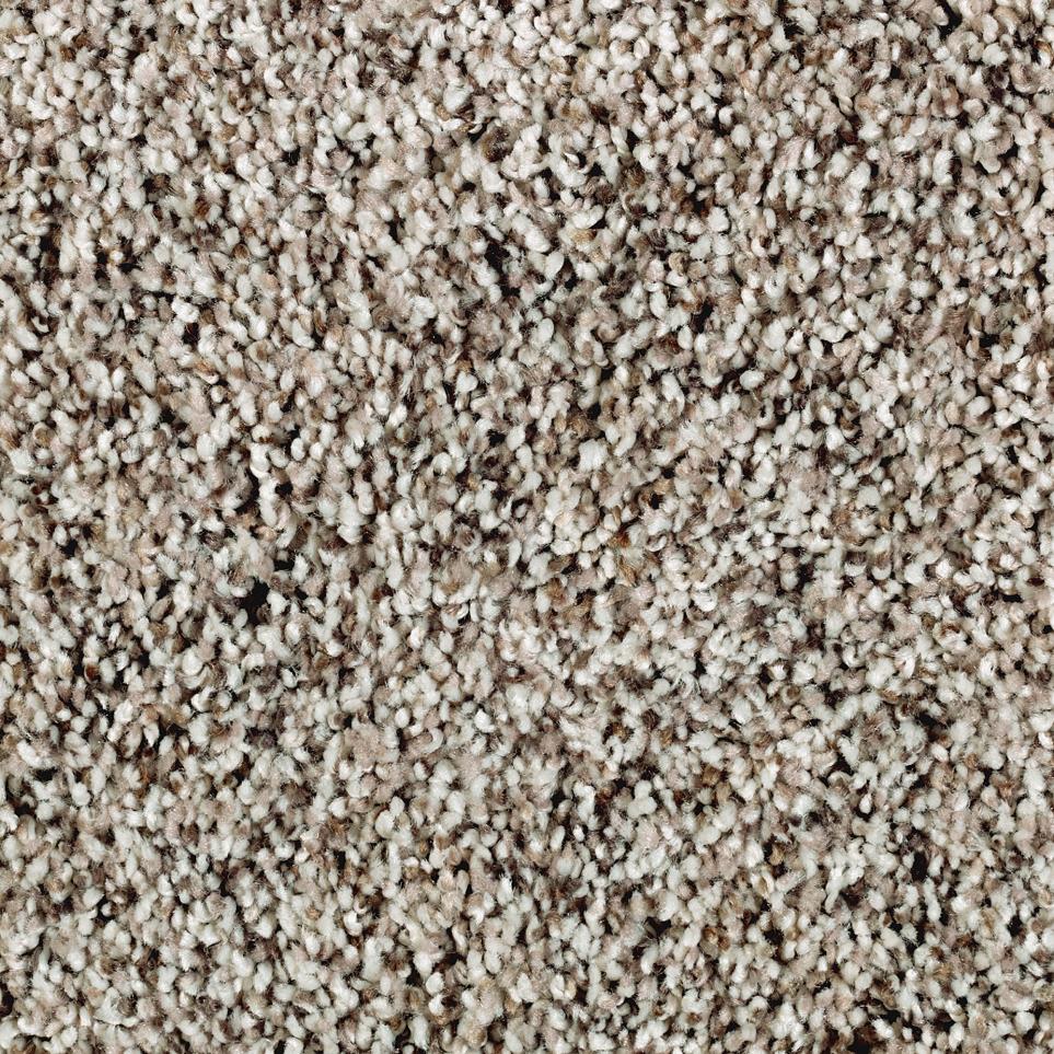 Texture Stormwatch Beige/Tan Carpet