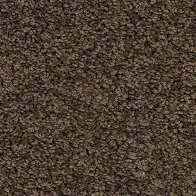 Textured Saxony Well Known Brown Carpet