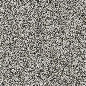 Textured Saxony Greystone Gray Carpet