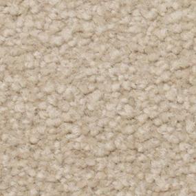 Texture Heirloom Beige/Tan Carpet