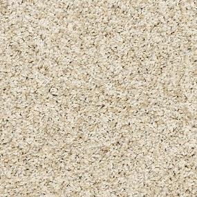 Textured Saxony Tea House Beige/Tan Carpet
