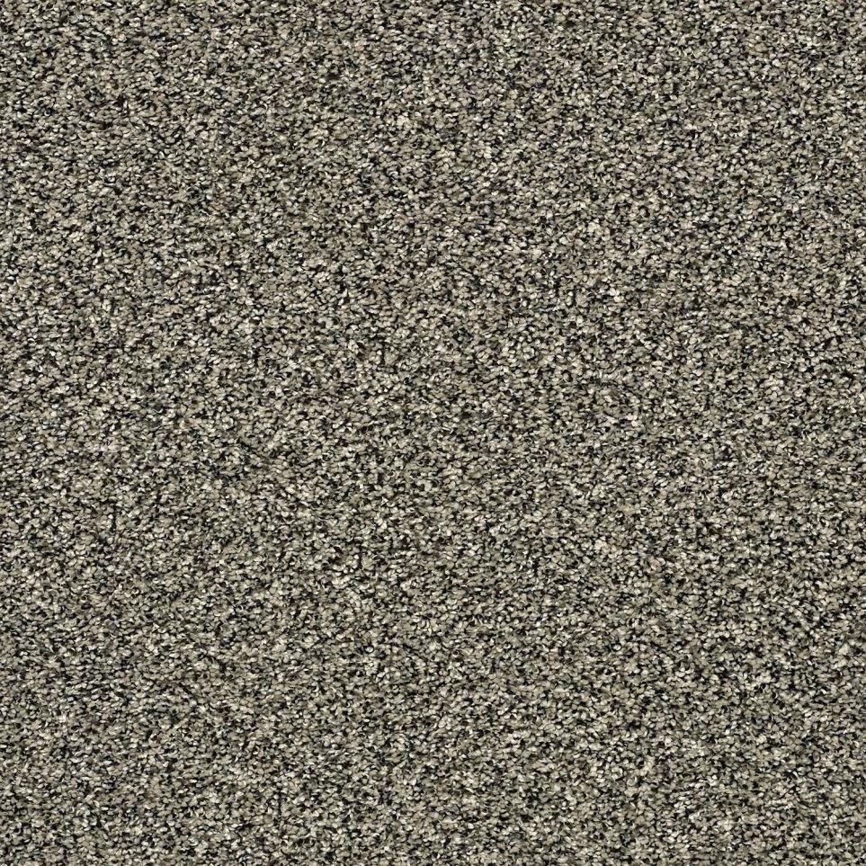 Texture Mushroom Beige/Tan Carpet