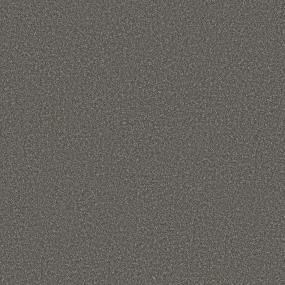 Cut Pile Sparrow Gray Carpet