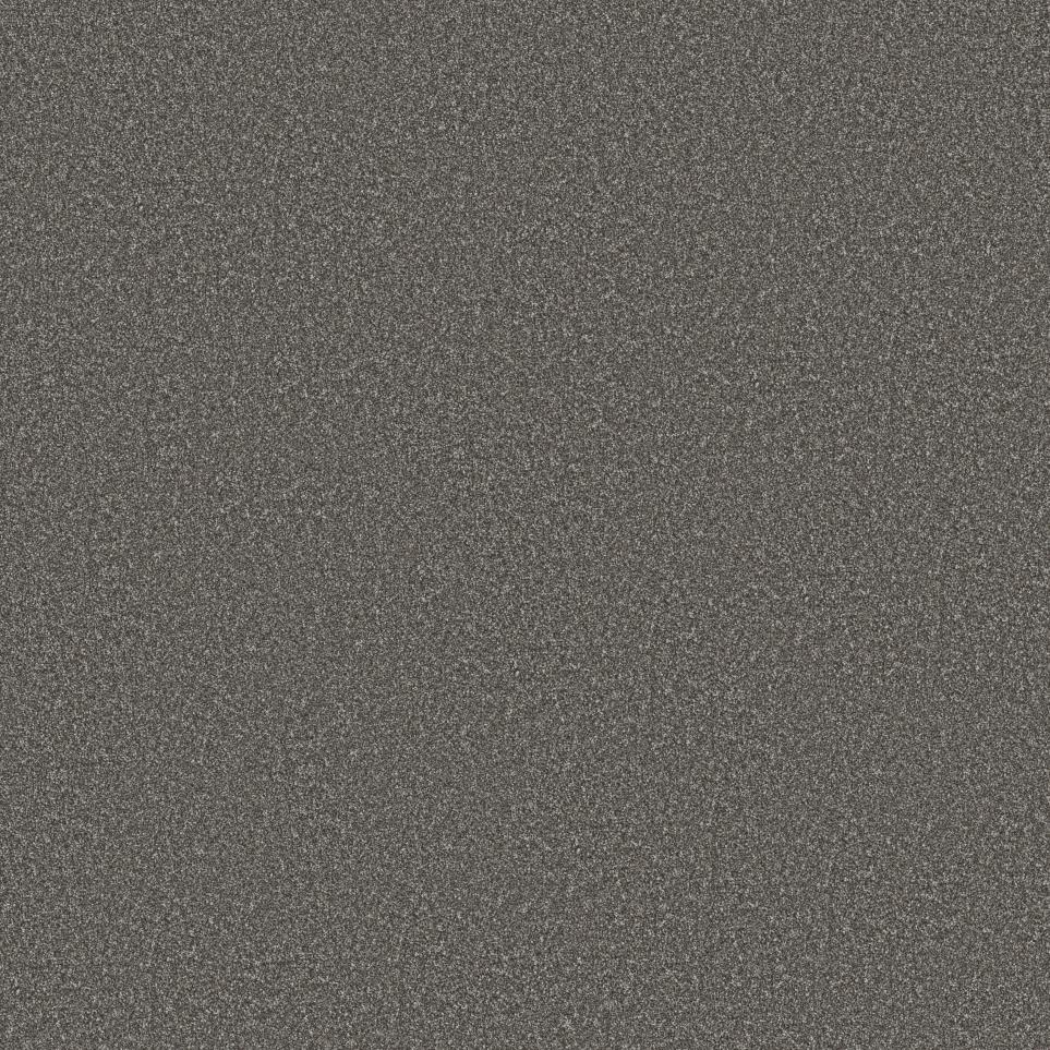 Cut Pile Sparrow Gray Carpet