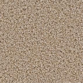 Textured Saxony Salutation Beige/Tan Carpet