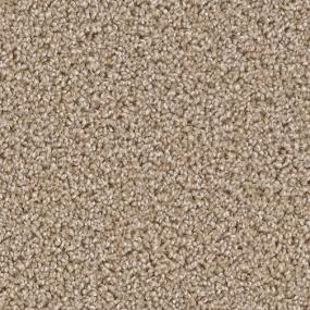 Texture Salutation Beige/Tan Carpet