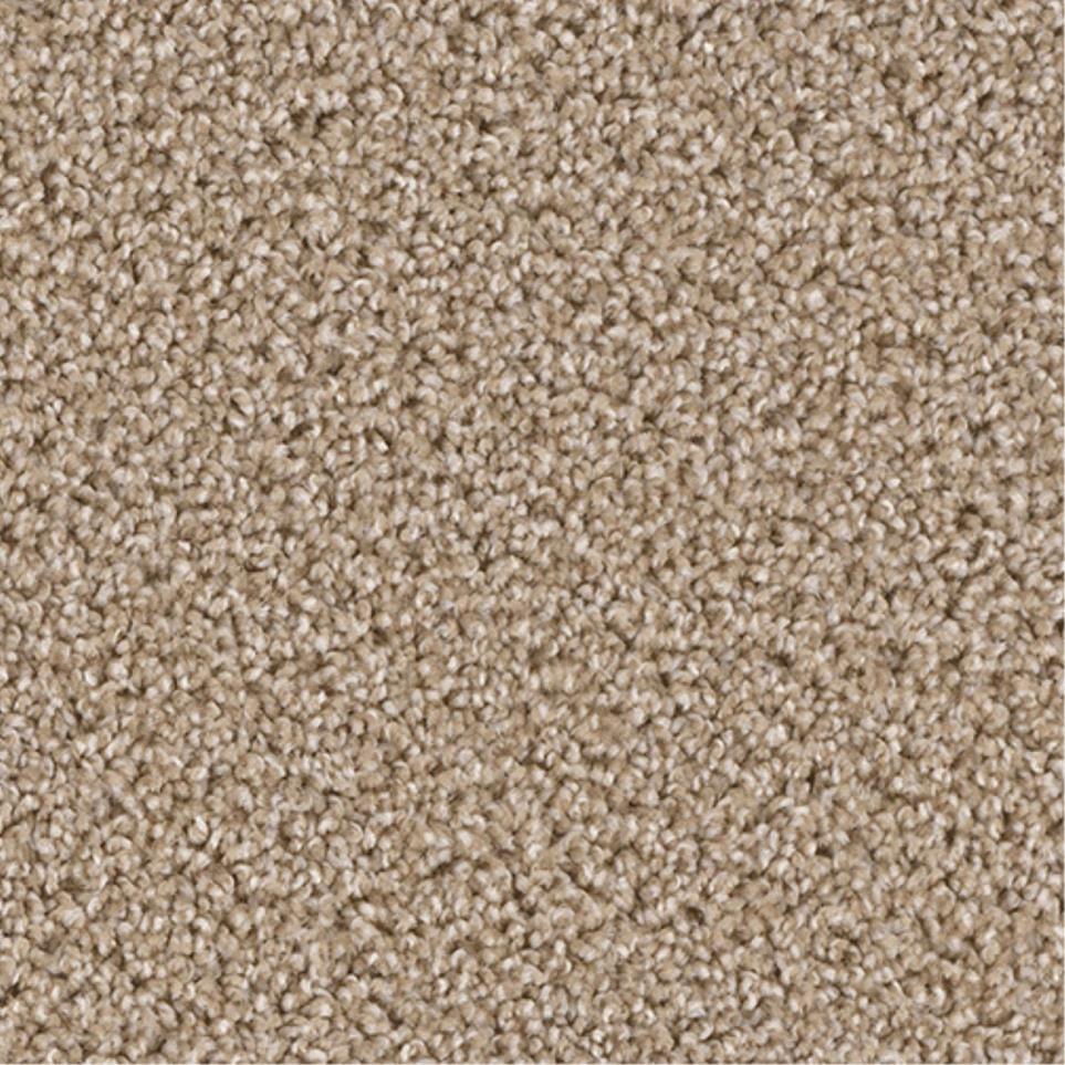 Textured Saxony Salutation Beige/Tan Carpet