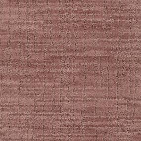 Pattern Spiced Apple Red Carpet