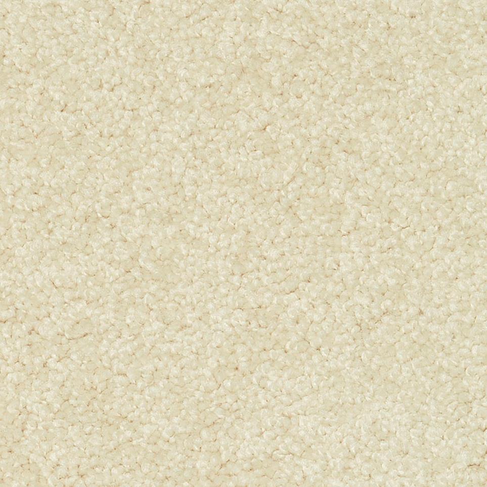 Frieze Water Chestnut White Carpet