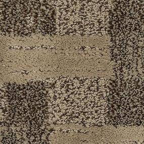 Pattern Dark Taupe Beige/Tan Carpet