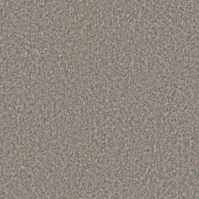 Textured Saxony Great Impression Beige/Tan Carpet