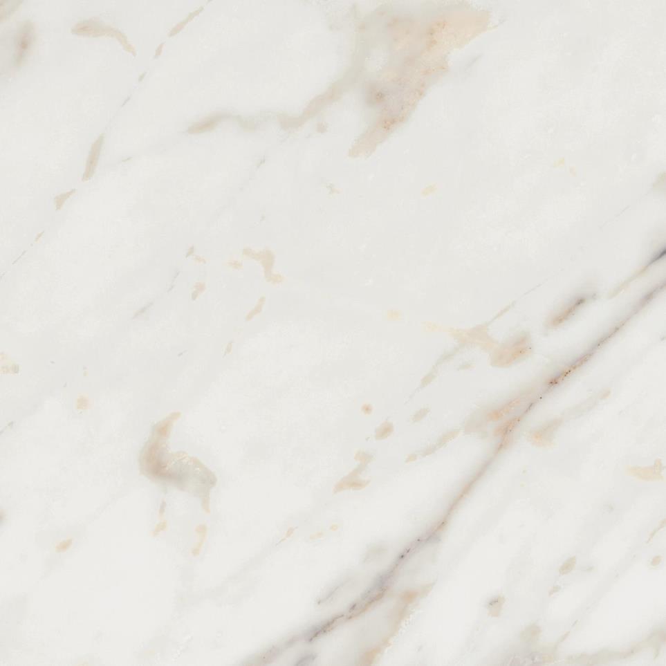 Tile Golden Reverie Matte White Tile