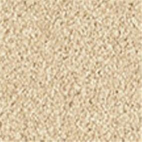 Casual Texture Pale Almond Beige/Tan Carpet