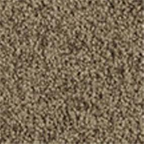 Casual Texture Woodacres Brown Carpet