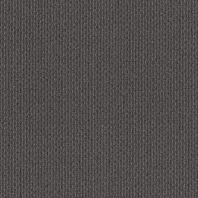 Loop Scheme Gray Carpet