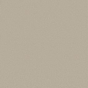 Textured Saxony Soft Glow Beige/Tan Carpet