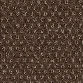 Pattern RICH SPICE Brown Carpet