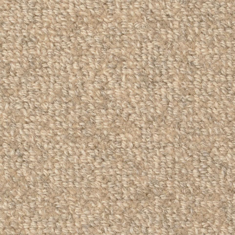 Loop Taupe Tone Beige/Tan Carpet