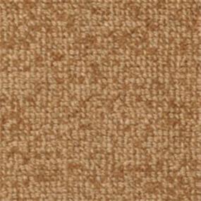 Loop Saddle Brown Beige/Tan Carpet